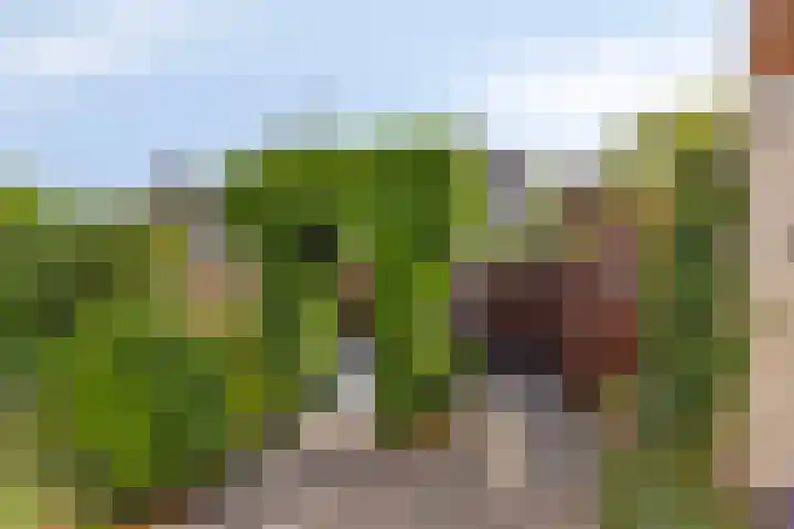 Duinakker 16 Roden thumbnail 16
