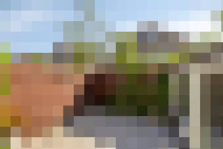 Duinakker 16 Roden thumbnail 18