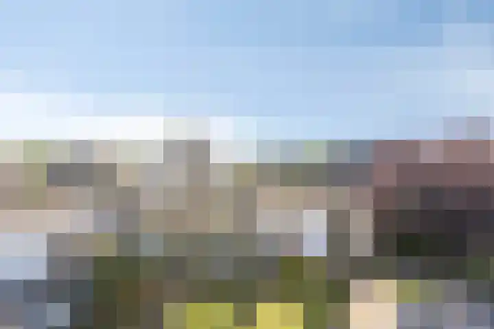 Duinakker 16 Roden thumbnail 28