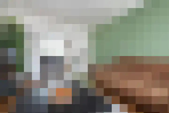 Duinakker 16 Roden thumbnail 32