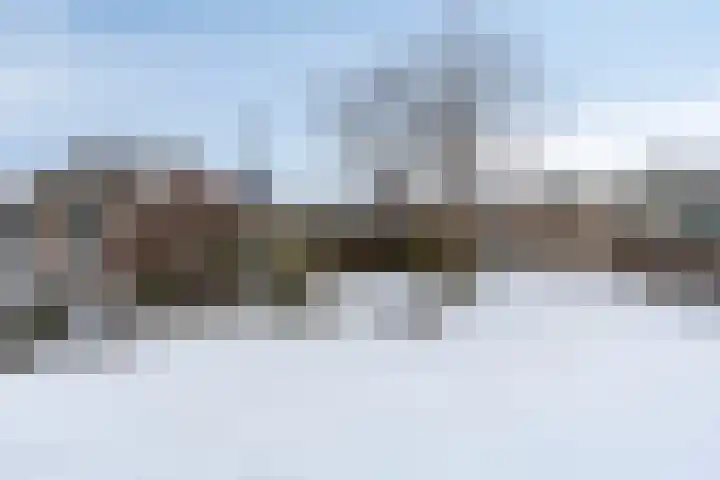 Duinakker 24 Roden thumbnail 15