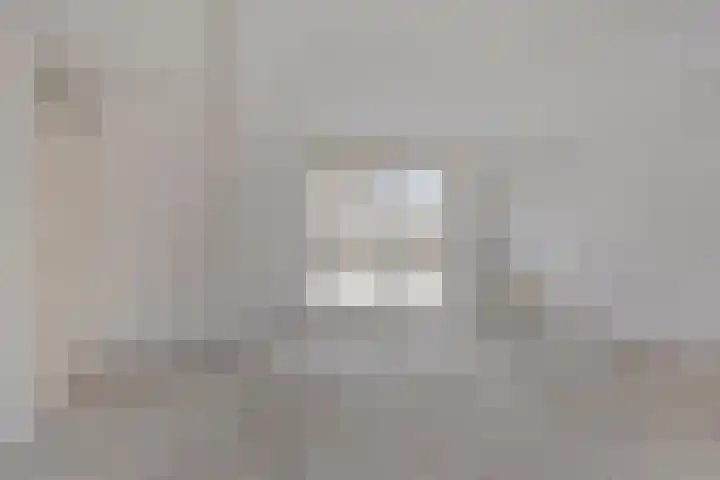 Duinakker 24 Roden thumbnail 6