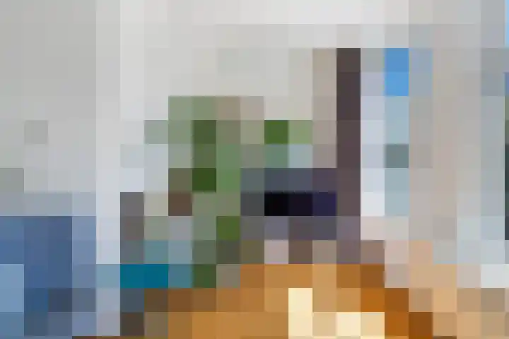 Duinakker 24 Roden thumbnail 7
