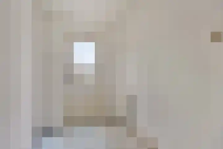 Duinakker 24 Roden thumbnail 9