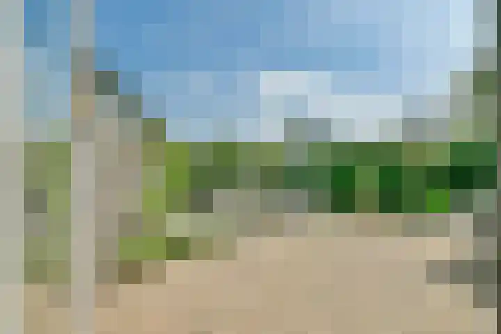 Duinbeek 45 Hoofddorp thumbnail 19