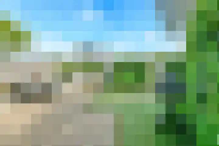 Duinbeek 45 Hoofddorp thumbnail 24