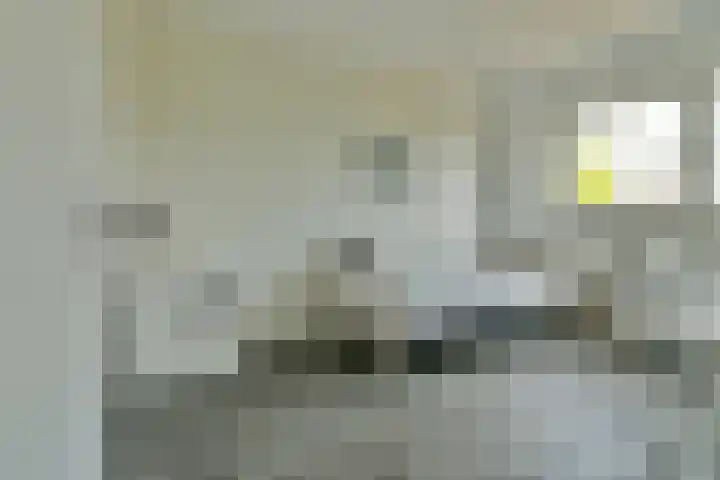 Duinbeek 45 Hoofddorp thumbnail 31