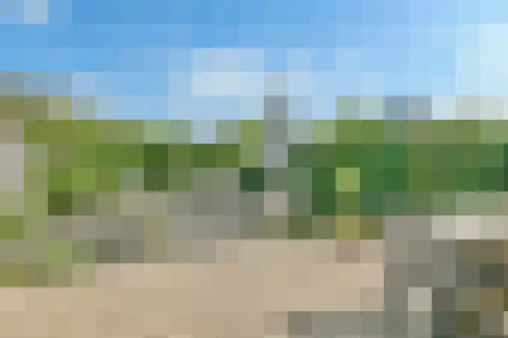 Duinbeek 45 Hoofddorp thumbnail 4