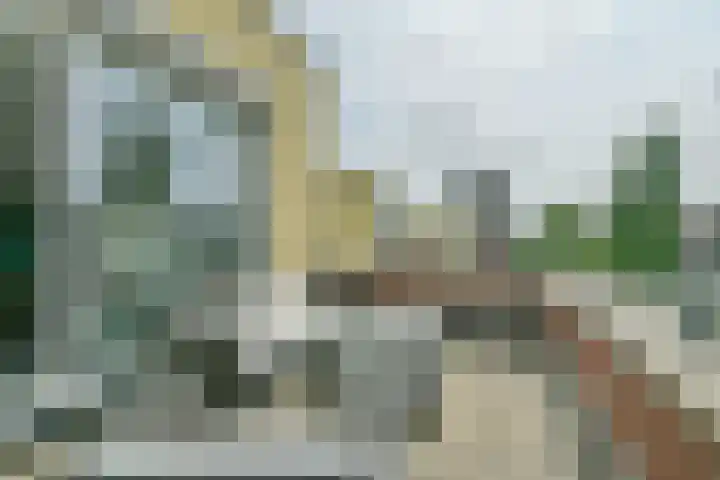 Duinbeek 45 Hoofddorp thumbnail 42