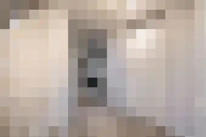 Duinbrink 16 Den Helder thumbnail 15