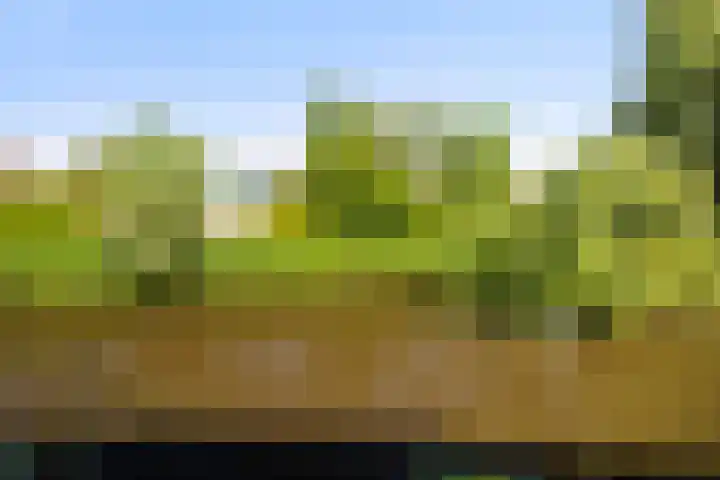 Duinbrink 9 Den Helder thumbnail 12