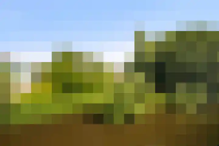 Duinbrink 9 Den Helder thumbnail 30