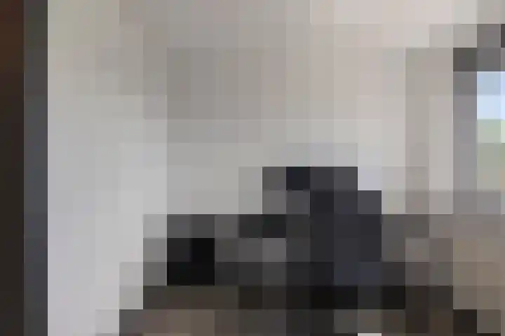 Duinbrink 9 Den Helder thumbnail 34