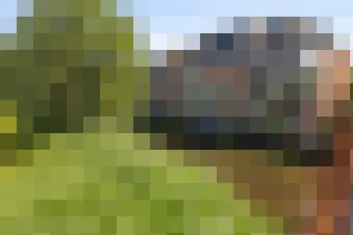 Duinbrink 9 Den Helder thumbnail 46