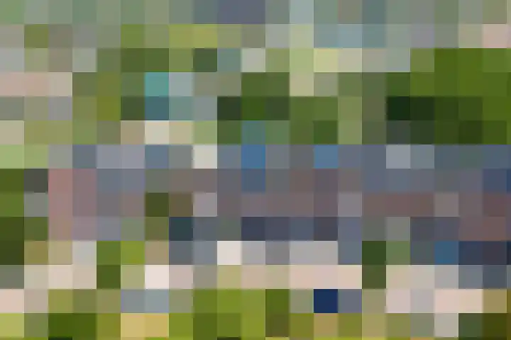 Duinbrink 9 Den Helder thumbnail 5