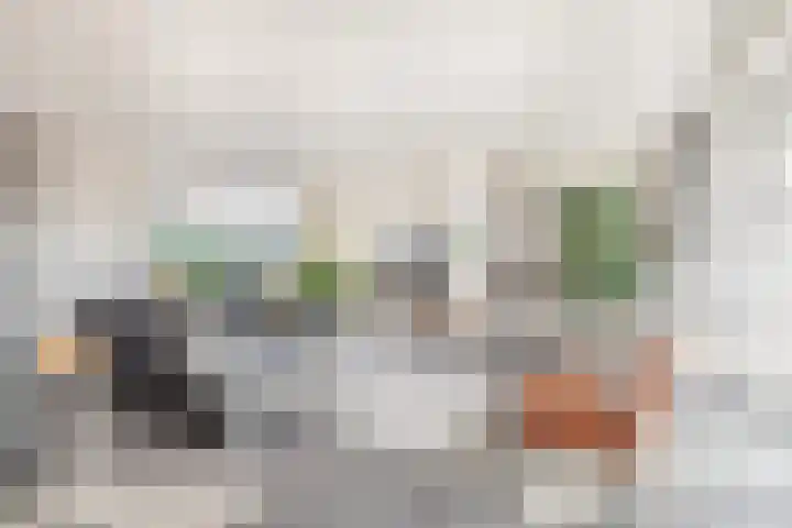 Duindal 3 Den Helder thumbnail 10