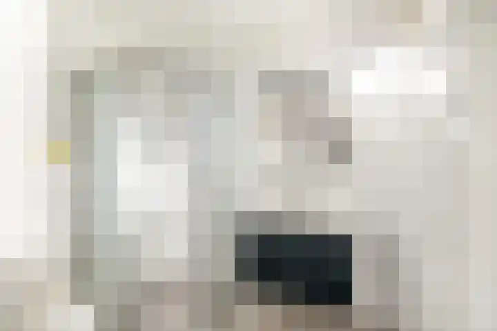 Duindal 3 Den Helder thumbnail 22