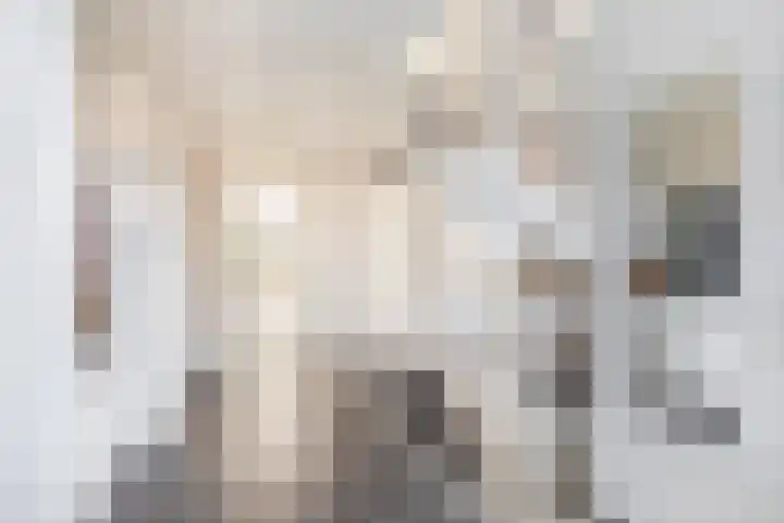 Duindal 3 Den Helder thumbnail 23