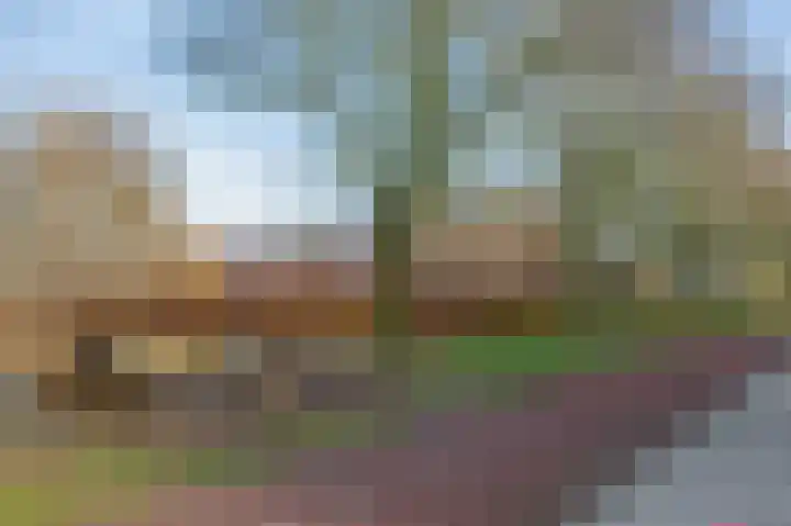 Duindal 3 Den Helder thumbnail 35