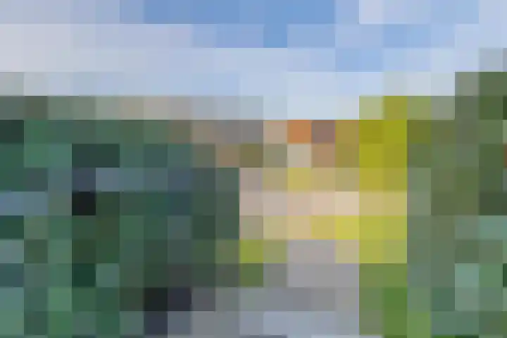 Duindal 3 Den Helder thumbnail 4