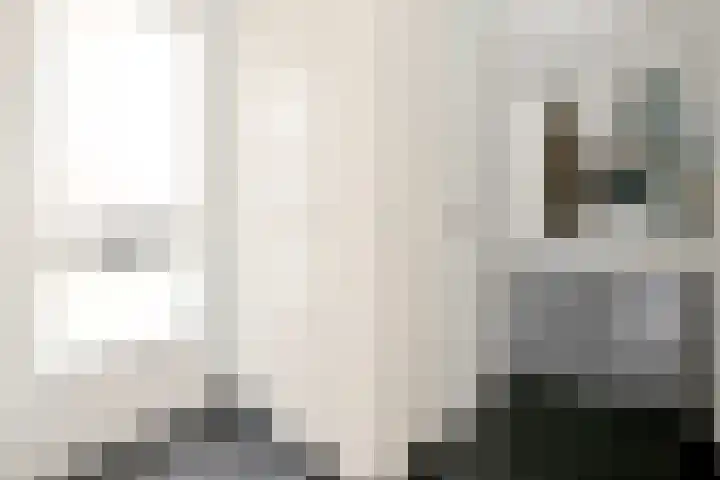 Duindoorn 18 Deventer thumbnail 10