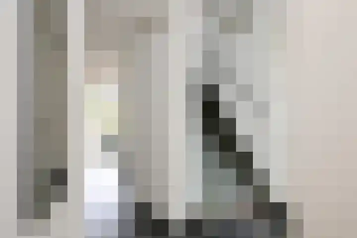Duindoorn 18 Deventer thumbnail 12