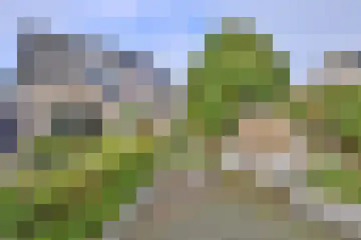 Duindoorn 18 Deventer thumbnail 31
