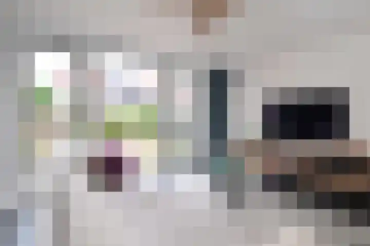 Duindoorn 18 Deventer thumbnail 5