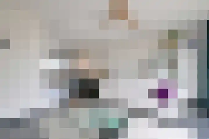 Duindoorn 18 Deventer thumbnail 7