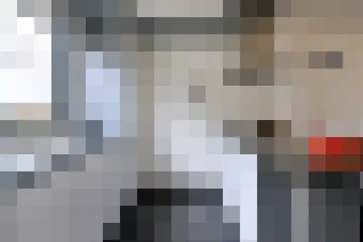 Duindoorn 18 Deventer thumbnail 9