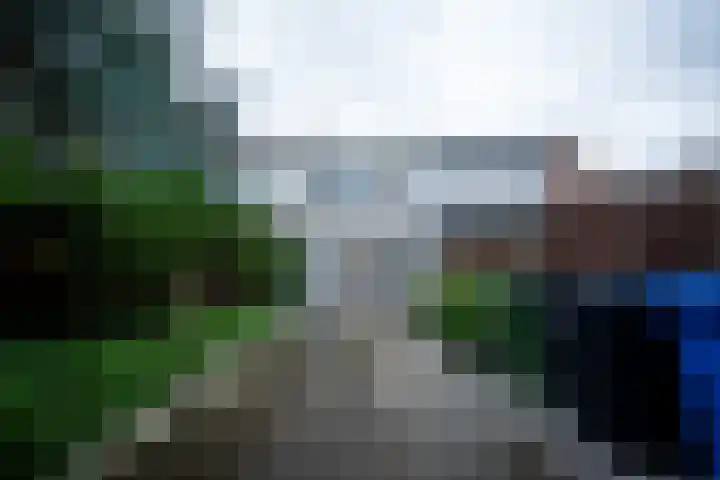 Duindoorn 25 Rotterdam thumbnail 19