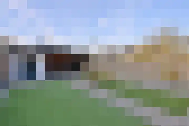 Duindoorn 44 Deventer thumbnail 34