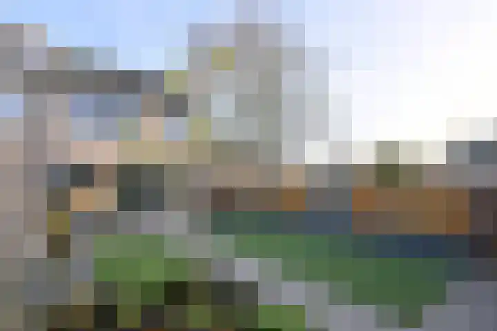 Duindoorn 44 Deventer thumbnail 38