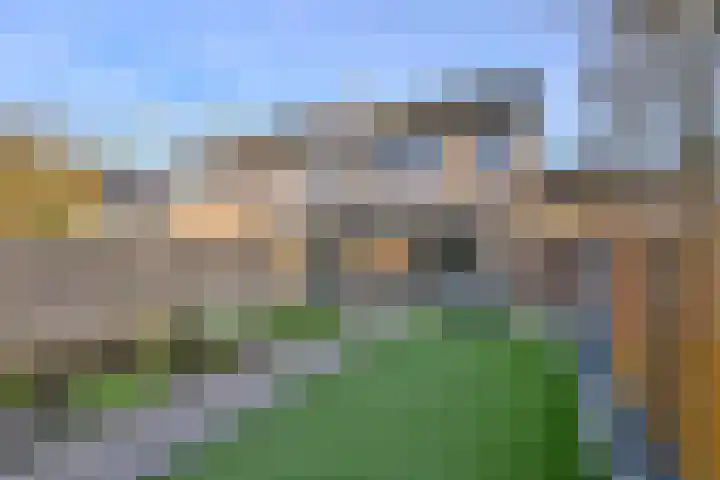 Duindoorn 44 Deventer thumbnail 39