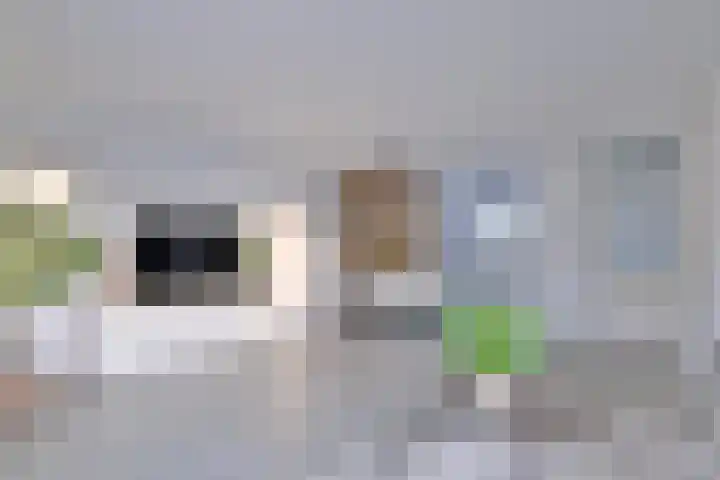 Duindoorn 44 Deventer thumbnail 7
