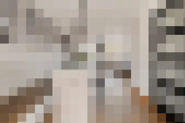 Duinhof 13 Made thumbnail 13