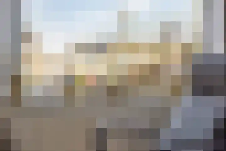 Duinhof 13 Made thumbnail 19