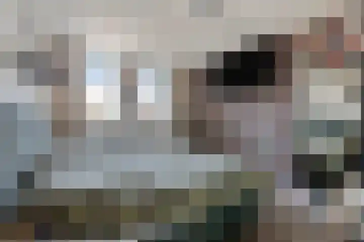 Duinhof 13 Made thumbnail 22