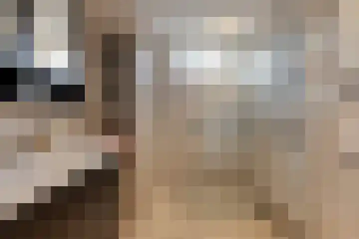 Duinhof 13 Made thumbnail 24