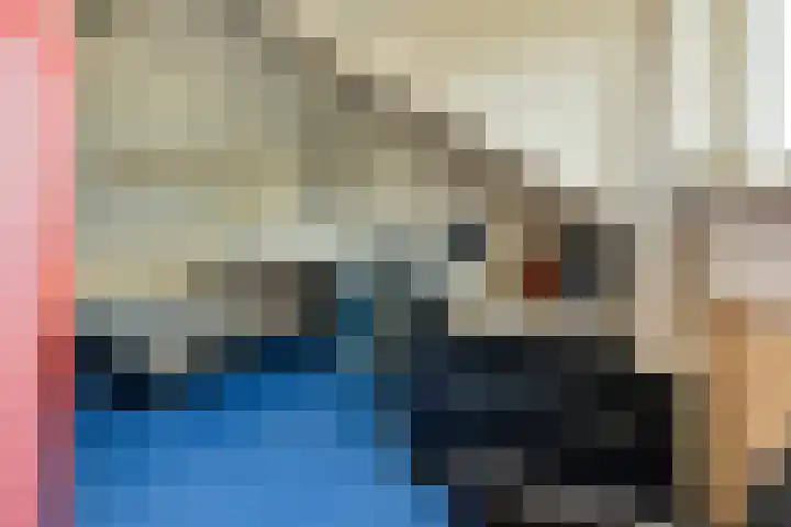 Duinhof 13 Made thumbnail 32