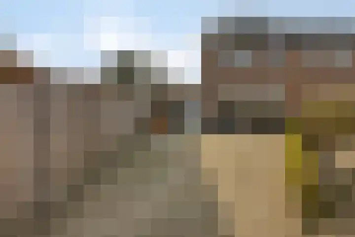 Duinhof 13 Made thumbnail 5