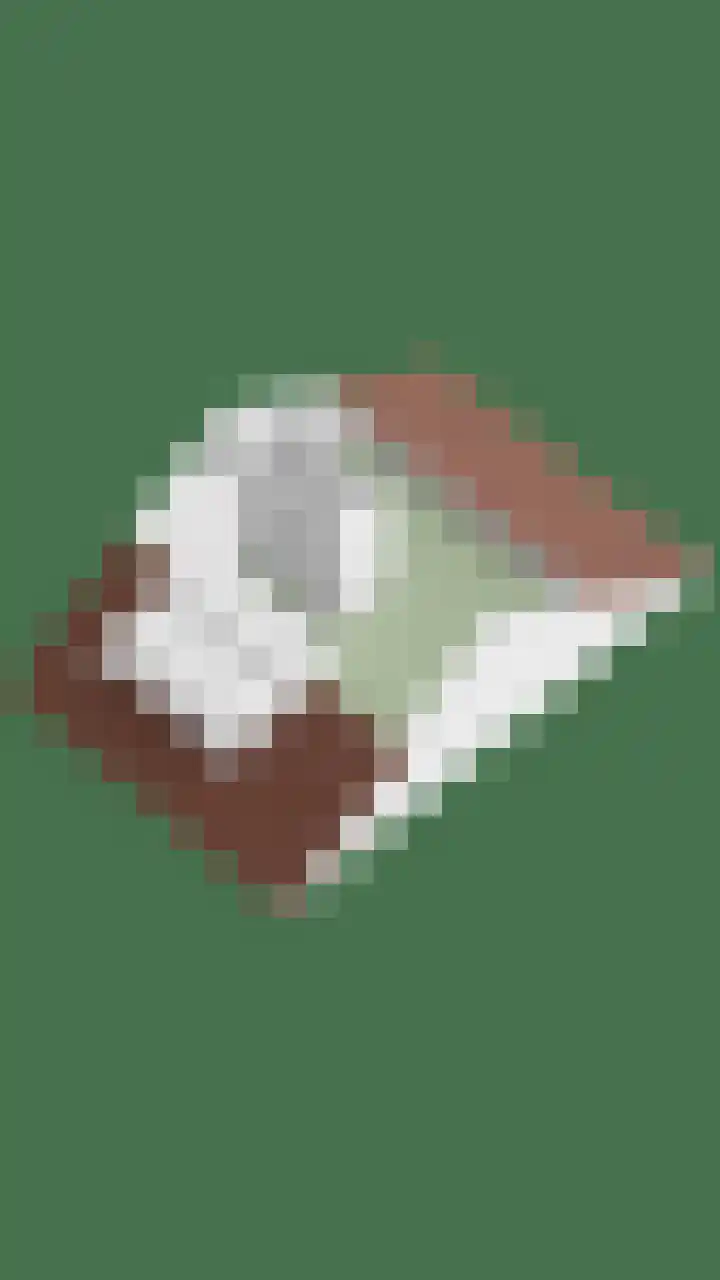 Duinhof 13 Made thumbnail 61