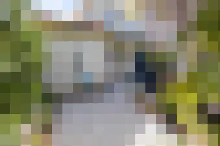 Duinhof 27 Den Helder thumbnail 12