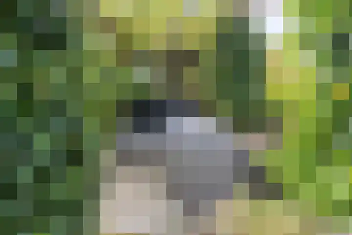 Duinhof 27 Den Helder thumbnail 13