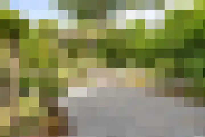 Duinhof 27 Den Helder thumbnail 15
