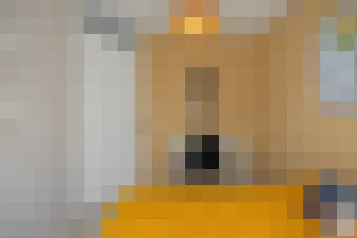 Duinhof 27 Den Helder thumbnail 26