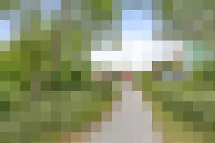 Duinhof 27 Den Helder thumbnail 36