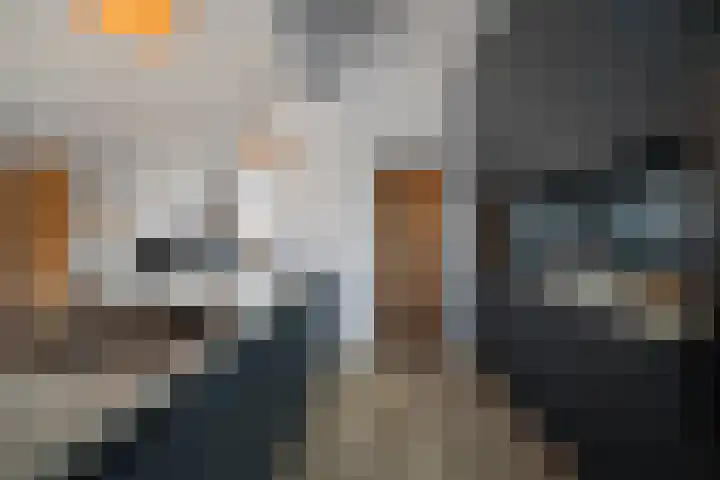 Duinhof 6 Den Helder thumbnail 8