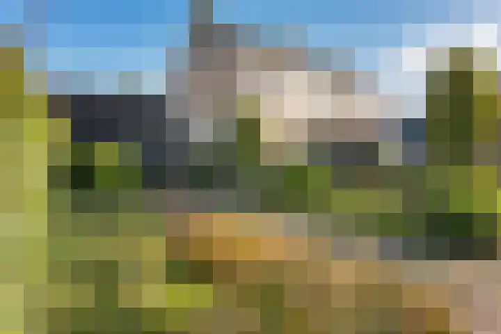 Duinkampen 1 dans Paterswolde