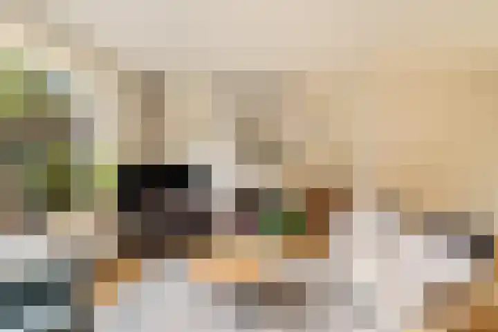 Duinkant 84 Noordwijk thumbnail 8